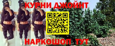 стаф Кинель