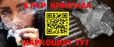 стаф Кинель
